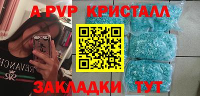шишки Изобильный