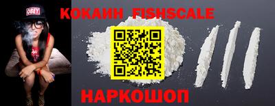 шишки Изобильный
