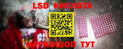 шишки Изобильный
