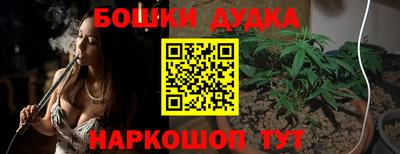 шишки Изобильный