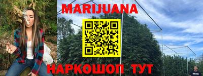 индика Ирбит