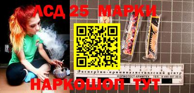 индика Ирбит