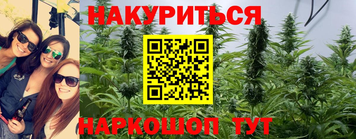 Кудрово  Бошки Шишки сатива  Каннабис SATIVA & INDICA  Вход с VPN 